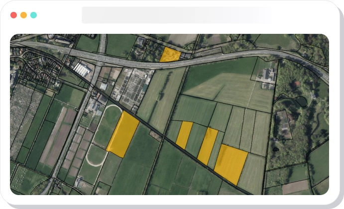 Bepaal uw zoekgebied en stel uw zoekcriteria in
